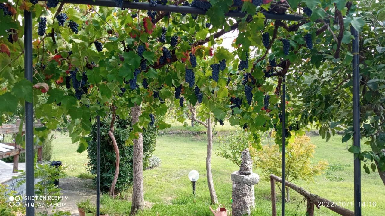 Willa Etna, Salvia E Rosmarino Maletto Zewnętrze zdjęcie
