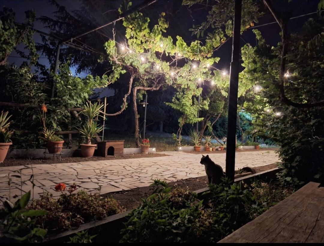 Willa Etna, Salvia E Rosmarino Maletto Zewnętrze zdjęcie